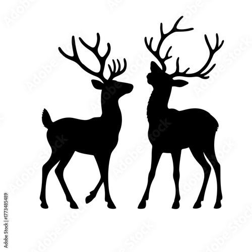 deer vector illustration