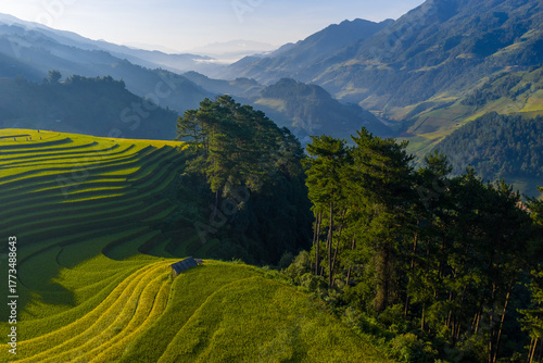 Aerial view of golden rice terraces at Mu Cang Chai town near Sapa city, North of Vietnam. Beautiful terraced rice field in harvest season in Yen Bai province.