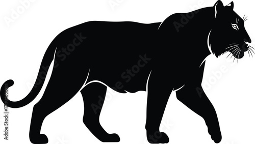 Side profile silhouette of a large tiger or panther walking forward, symbolizing power, strength, wildlife, danger, and majestic big cat predators.