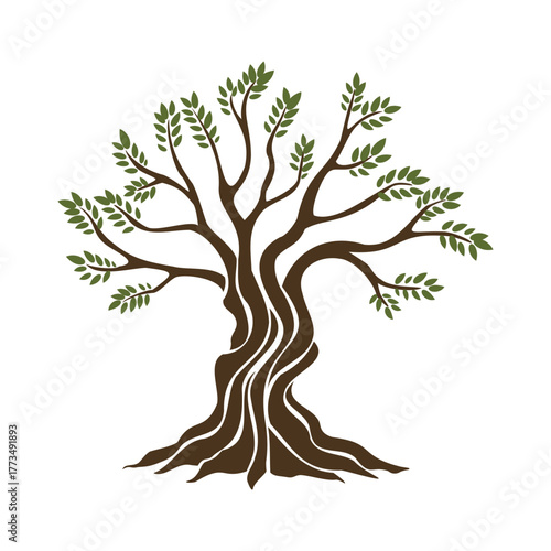 Olive trees with branches and leaves for design of packaging, label, logotype or banner. Natural organic stylized olive icon, premium quality sign. Vector illustration