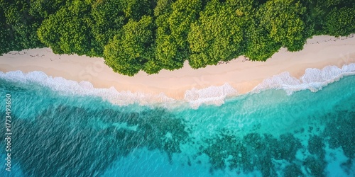 A serene tropical beach with white sand, turquoise water, and lush green trees, set against a clear blue sky.