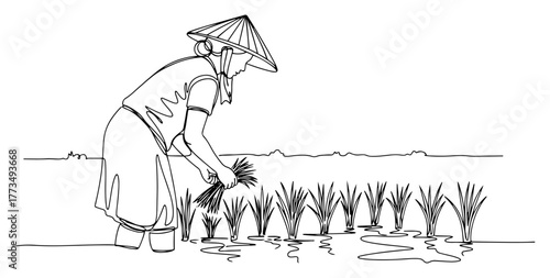 Asian farmer woman in conical hat planting rice in paddy field continuous one line drawing Traditional agriculture in Vietnam vector