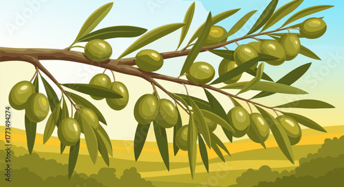 Olive tree branch with unripe green olives hanging from it, set against a blurry yellow and green background, depicting a rural harvest scene