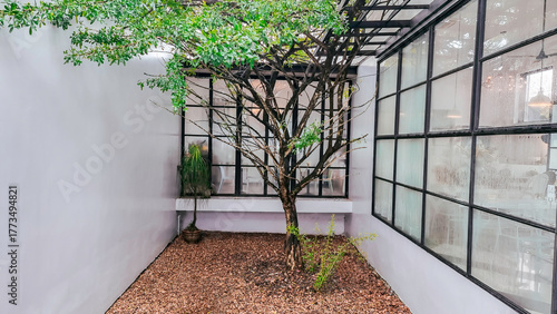 Green landscape nature view from window, interior window design with beautiful garden view at home