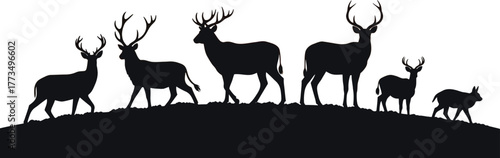 Silhouette of a herd of deer with antlers against a colorful sunset sky landscape background view