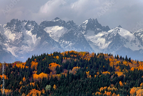 Beautiful autumn forest with vibrant fall colors at the foot of snowy mountain peaks.Artvin .Turkey  .Şavşat