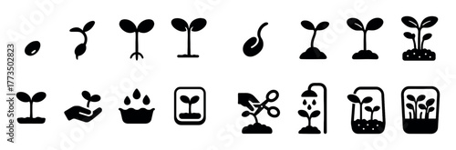 Microgreen Growth Icons