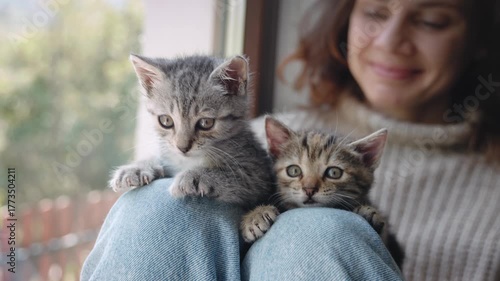 A young woman is playing with cute little kittens sitting on the windowsill of a country house