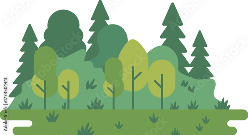 Cartoon forest illustration, coniferous and deciduous trees, green nature landscape, flat design, educational environment, eco-friendly background, outdoor scenery art