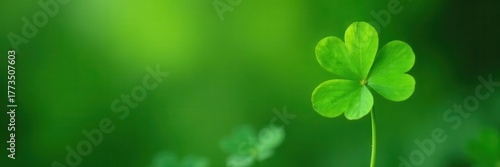 Single shamrock against blurred green background, irish, plant