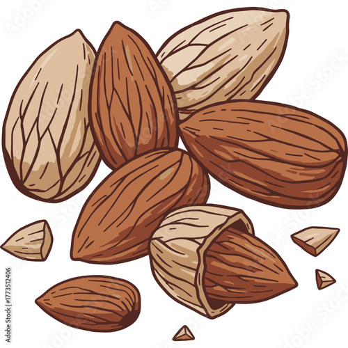 Almond Nuts Vector Icon with Transparent Background