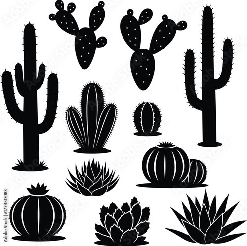 Cactus and succulent silhouette vector set