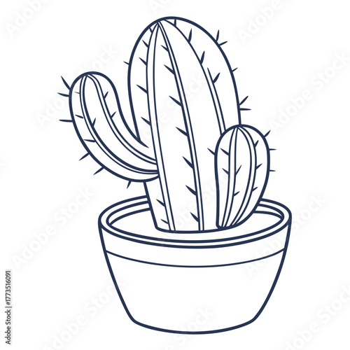 Cactus in a pot