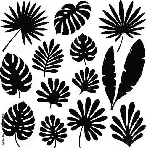 Tropical leaves silhouettes vector illustration set