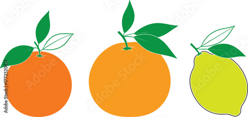 "Healthy Citrus Fruits Minimal Flat Design"