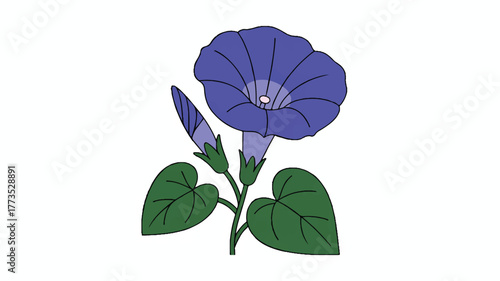 A simple vector illustration of a deep purple morning glory flower with 6 large petals arranged in a circular pattern 