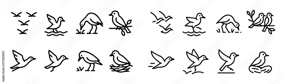 Obraz premium Migratory Bird Icons