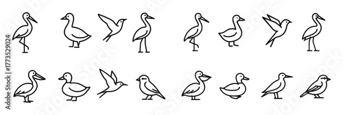 Migratory Bird Icons