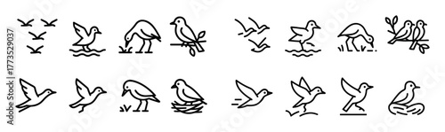 Migratory Bird Icons