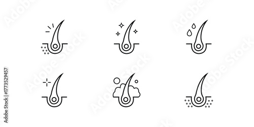 Hair and Scalp Health Icon - Hair follicle outline silhouette vector