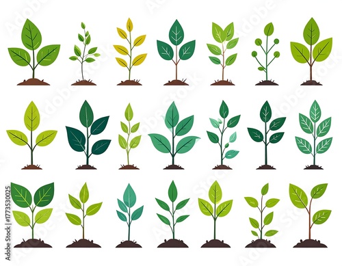 Twenty colorful vector plants, illustrating growth