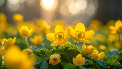 Vibrant yellow flowers in a sunlit forest