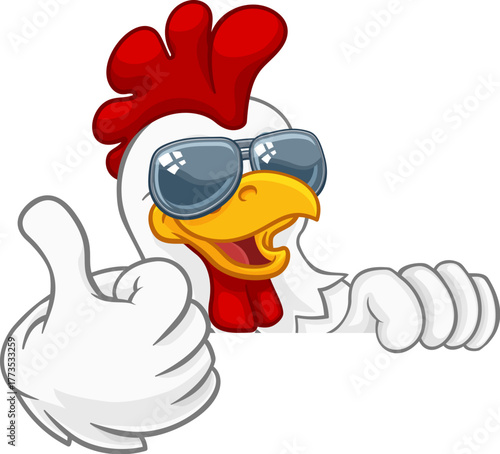 A chicken rooster cockerel bird cartoon character in cool shades or sunglasses peeking over a sign and giving a thumbs up