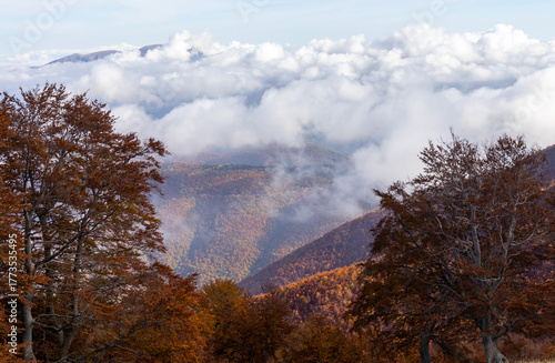 Gray sky and cloudy weather over the Monti della Laga mountains, covered with beech trees in autumn colors, Monti della Laga, Teramo, Abruzzo, Italy