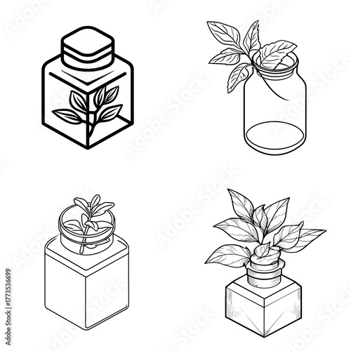 Botanical glass jar illustration showing plants and leaves growing in transparent containers. Represents organic, eco lifestyle, home decor, and sustainable green design elements.