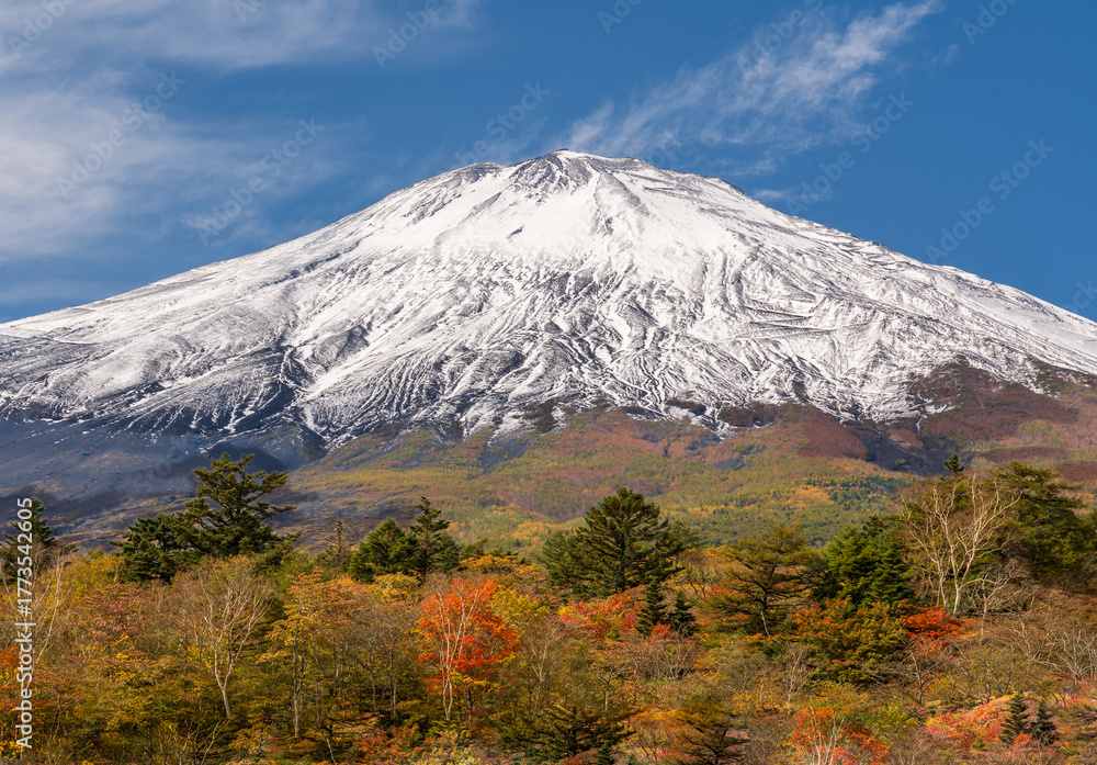 Fototapeta premium 小山町須走五合目口に向かうふじあざみラインから初冠雪の富士山と紅葉