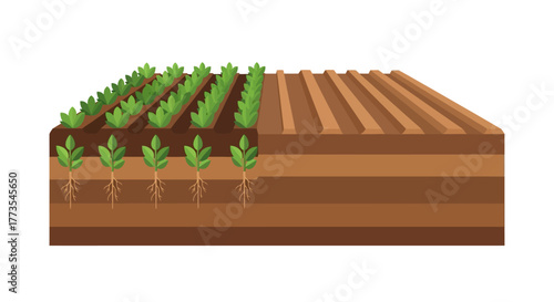 CrossSectional View of a Farm Field Showing Plant Growth and Soil Layers.