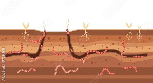 Earthworms Burrowing Through Soil Illustrating Underground Ecosystem and Life Cycle.