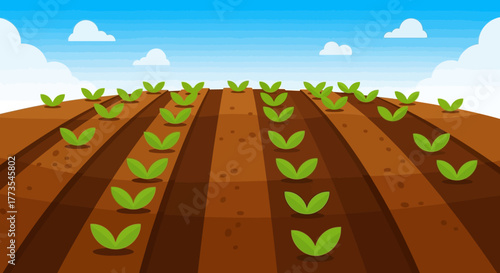 Rows of Young Green Plants Growing in Brown Soil Cartoon Style.
