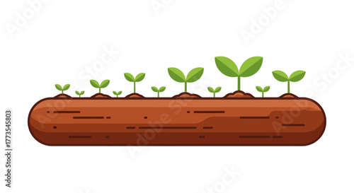 Seedlings in Soil Cartoon Style Illustration of Plant Growth Stages.