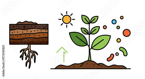Simple Illustration of a Growing Plant with Green Leaves and Brown Soil.