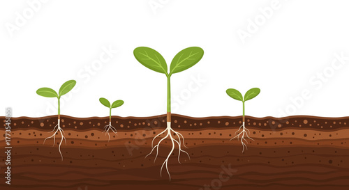 Seedlings with Roots in Soil Layers Green Leaves and Brown Earth.