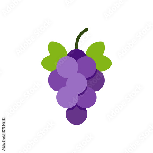 Drawn illustration of a fresh purple grape cluster with large green leaves on a stem, simple flat design style, vector icon artwork for food projects.
