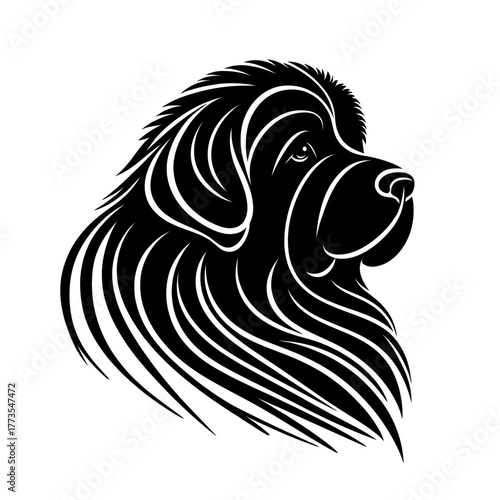 Newfoundland dog, side view vector. Diversity of breeds, pet and friend for human. Vet clinic professional services, grooming salon and dog food decoration