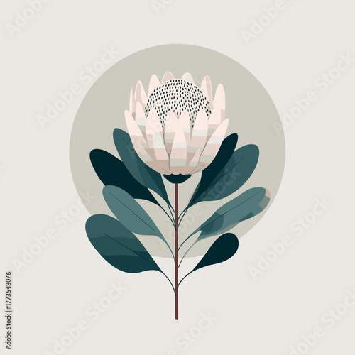Cream-colored protea flower with layered petals and green leaves against circular background — refined modern vector illustration