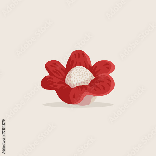 Rafflesia flower with red petals and white dotted center on light background — simple vector illustration of exotic bloom