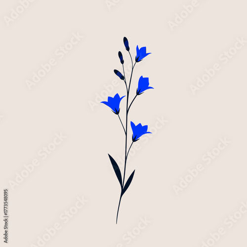 Minimal blue bellflower illustration on beige background with delicate stem and buds in modern botanical style
