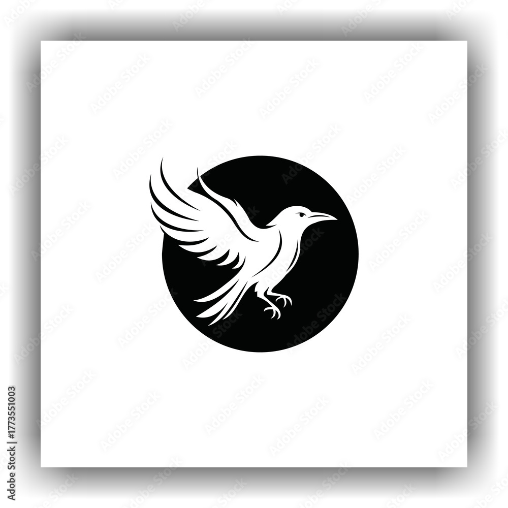 Fototapeta premium crow vector, black, sharp, abstract, modern