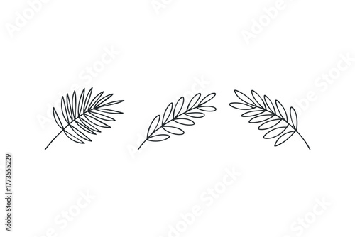 Three Minimalist Outline Botanical Leaf Sprigs