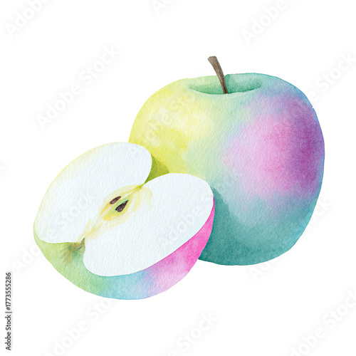 Watercolor painting of a whole apple with a sliced apple