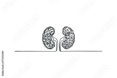 Single line drawing of human kidneys