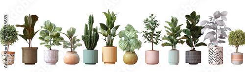 A collection of diverse potted plants on a black background