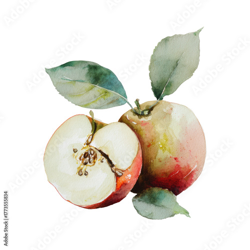 Watercolor painting of two apples, one halved, with leaves