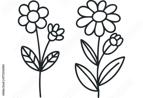 Two outline flowers with leaves and buds