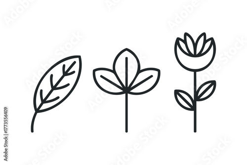 Abstract outline botanical elements on white background