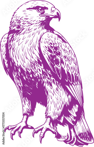 Majestic eagle perched symbolizing power and freedom artistic render vector
